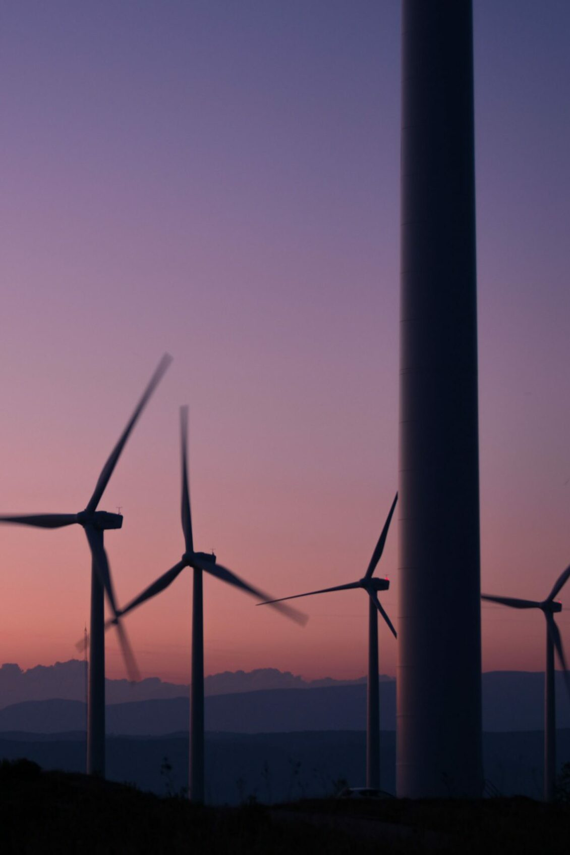 anna-jimenez-calaf-PLOq7Ouq0fM-unsplash