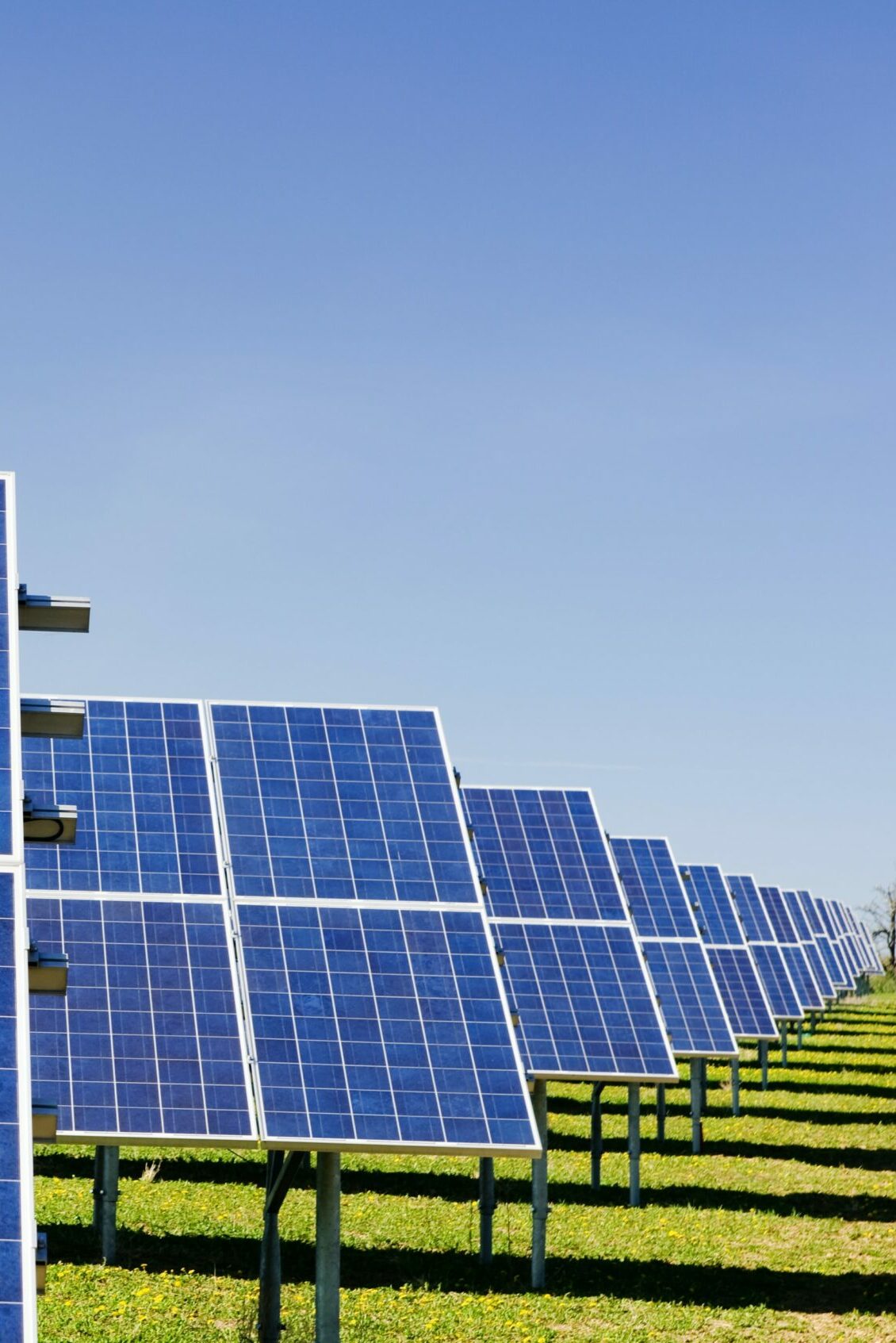 zbynek-burival-V4ZYJZJ3W4M-unsplash